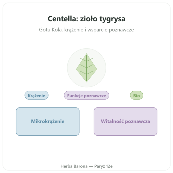 Wąkrota Azjatycka Bio (Gotu Kola) – Ayur-vana – 60 kapsułek prezentacja Paris Herba Barona