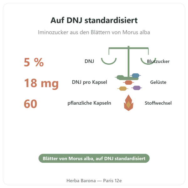Weißer Maulbeerbaum-Extrakt DNJ 5 % – Dynveo – 60 Kapseln Vorteile und Fakten Paris Herba Barona