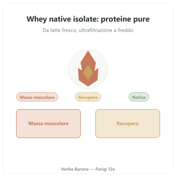 Whey proteina nativa isolate – Dynveo – 1 kg presentazione Paris Herba Barona