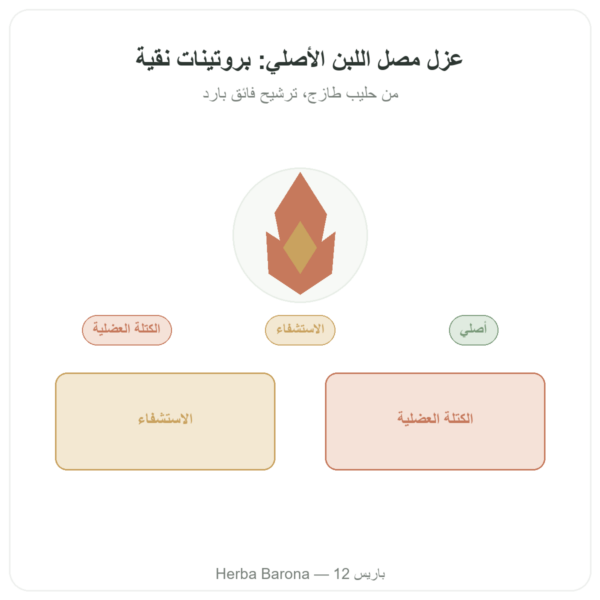 واي بروتين نيتيف إيزوليت – Dynveo – 1 كغ عرض المنتج Paris Herba Barona