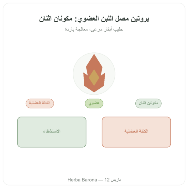 واي بروتين عضوي ORGANIC 1000 غ – بروتين عضوي عرض المنتج Paris Herba Barona