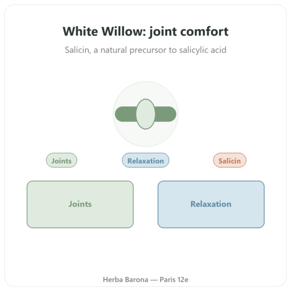 White Willow Bark Extract - Dynveo - 60 Capsules presentation Paris Herba Barona