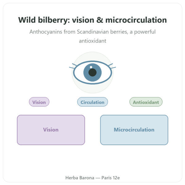 Wild Bilberry Extract - Dynveo - 60 capsules presentation Paris Herba Barona
