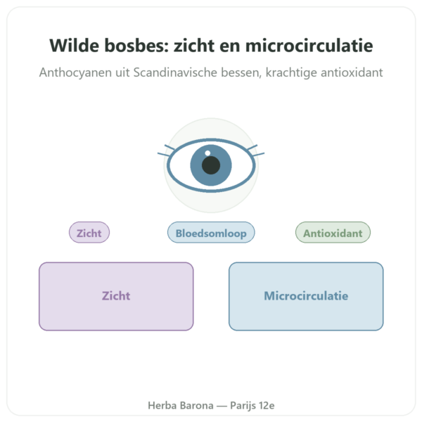 Wilde bosbes extract – Dynveo – 60 capsules presentatie Paris Herba Barona