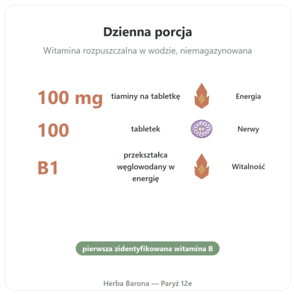 Witamina B-1 Tiamina – Now Foods – 100mg – 100 Tabletek korzyści i najważniejsze fakty Paris Herba Barona