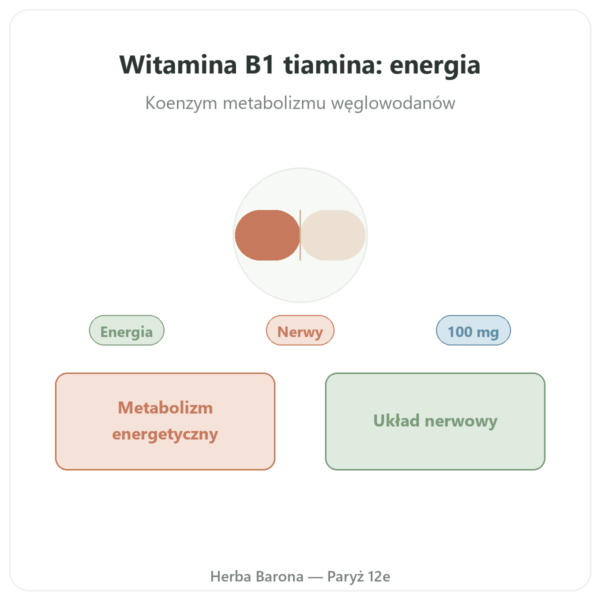 Witamina B-1 Tiamina – Now Foods – 100mg – 100 Tabletek prezentacja Paris Herba Barona