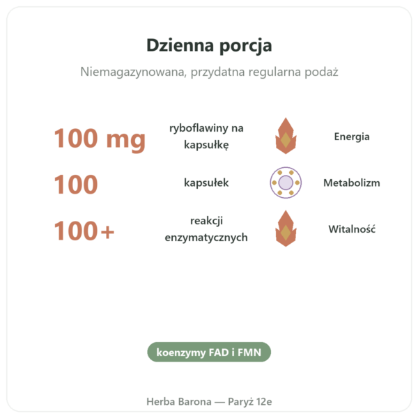 Witamina B2 Ryboflawina Now Foods 100mg 100 kapsułek korzyści i najważniejsze fakty Paris Herba Barona