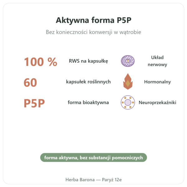 Witamina B6 – Pirydoksalo-5-fosforan (P5P) – Dynveo – 60 kapsułek korzyści i najważniejsze fakty Paris Herba Barona