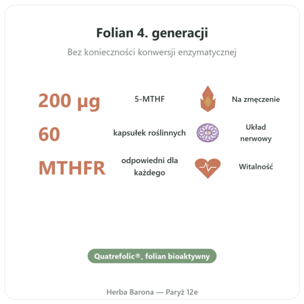 Witamina B9 Quatrefolic Dynveo 200 µg w Paryżu korzyści i najważniejsze fakty Paris Herba Barona