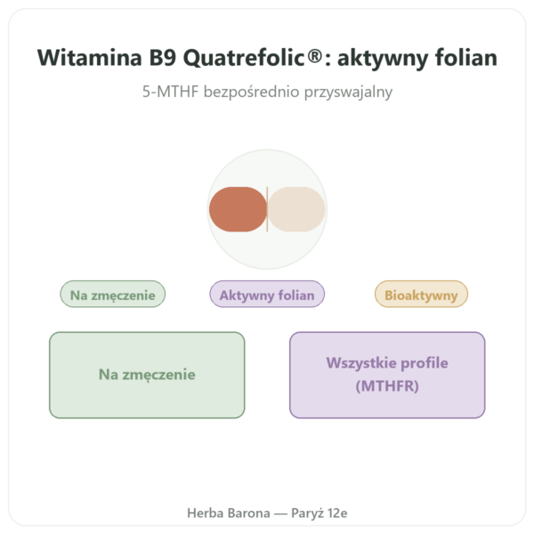 Witamina B9 Quatrefolic Dynveo 200 µg w Paryżu prezentacja Paris Herba Barona