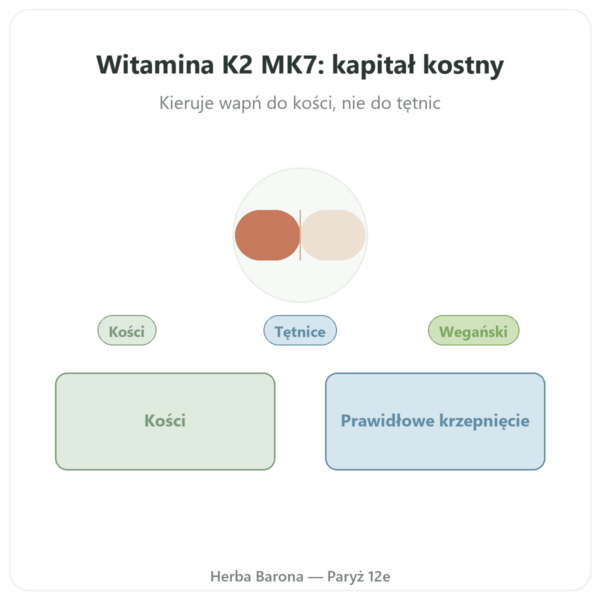 Witamina K2 MK7 – 80µg – Dynveo – 60 Kaps. prezentacja Paris Herba Barona