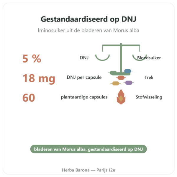 Witte Moerbei – gestandaardiseerd 5% DNJ – 60 capsules – Dynveo voordelen en kerngegevens Paris Herba Barona