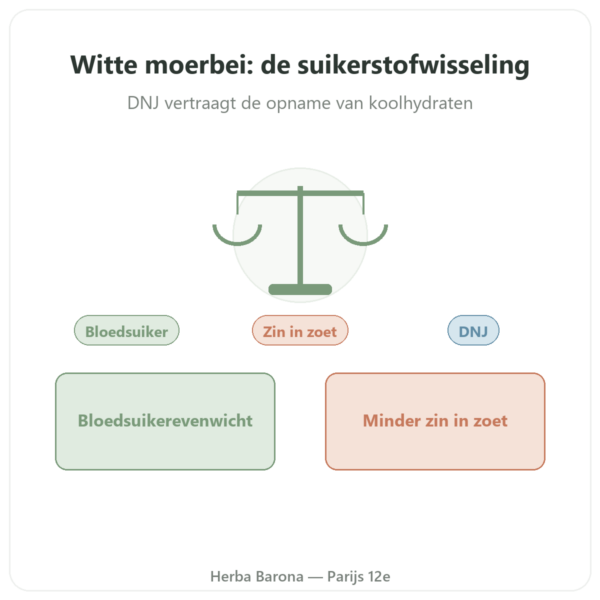 Witte Moerbei – gestandaardiseerd 5% DNJ – 60 capsules – Dynveo presentatie Paris Herba Barona
