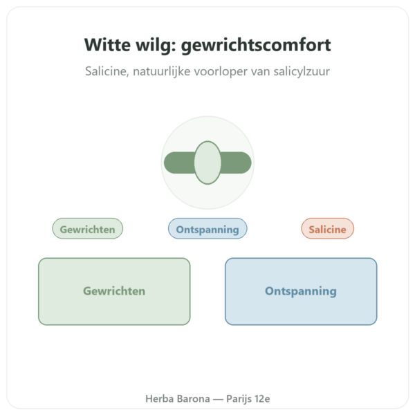 Witte-Wilgenbastextract – Dynveo – 60 capsules presentatie Paris Herba Barona