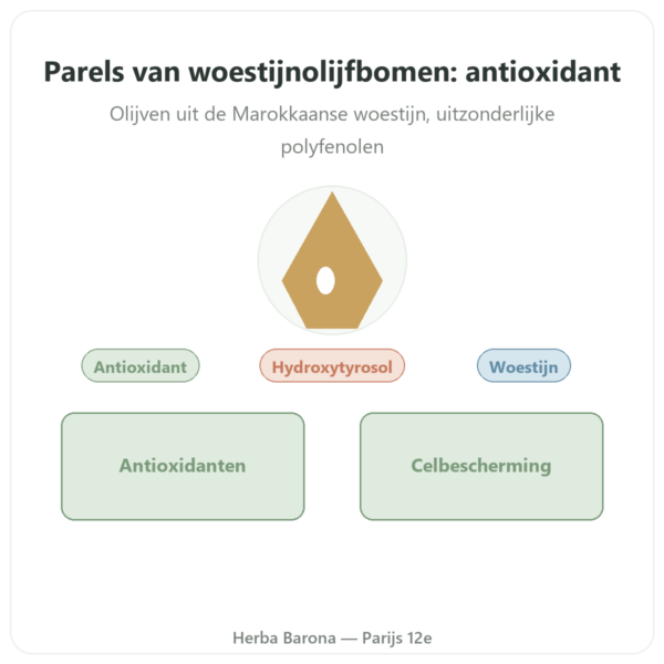 Woestijnolijfparels NaturaMedicatrix 340g presentatie Paris Herba Barona