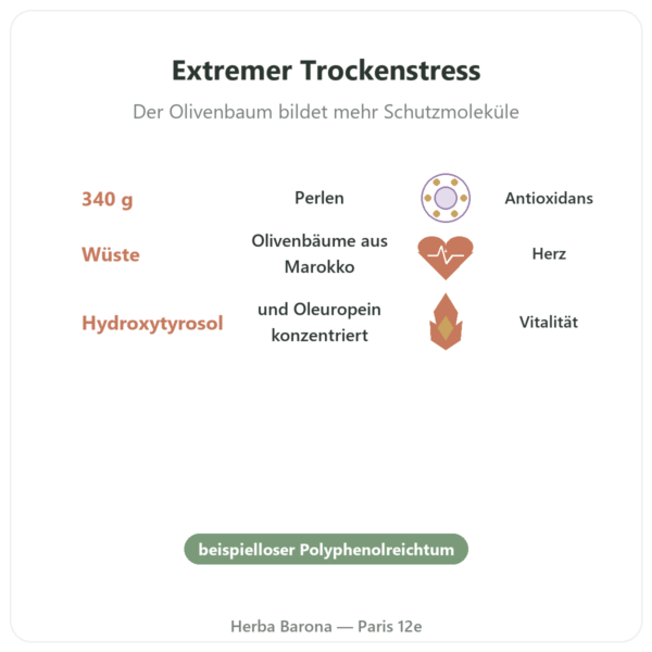 Wüsten-Oliven-Perlen NaturaMedicatrix 340 g Vorteile und Fakten Paris Herba Barona