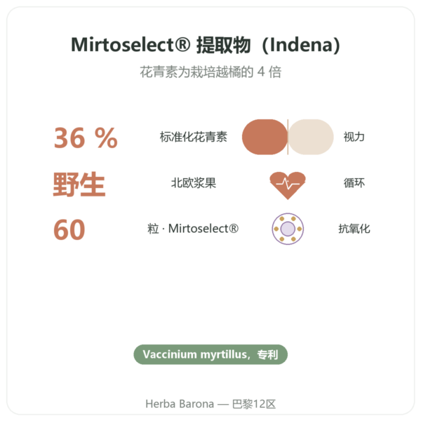 野生蓝莓提取物 – Dynveo – 60 粒胶囊 功效与数据 Paris Herba Barona