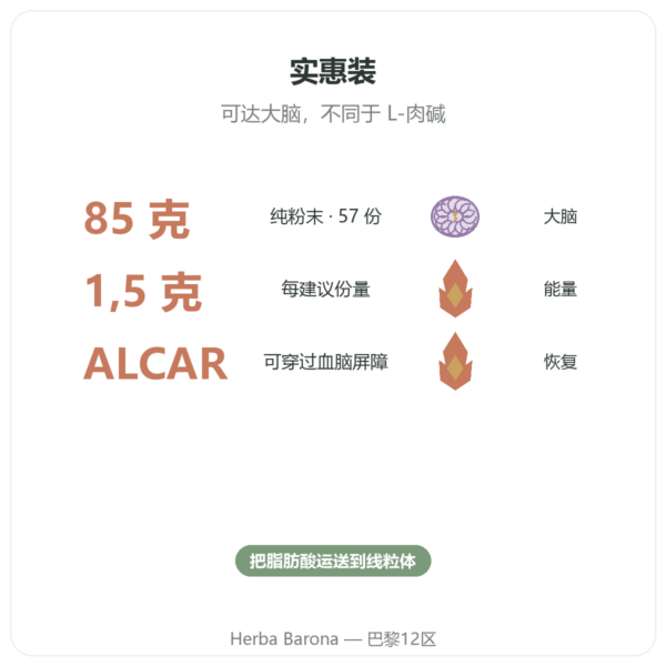乙酰-L-肉碱 纯粉 – 85g – Now Foods 功效与数据 Paris Herba Barona