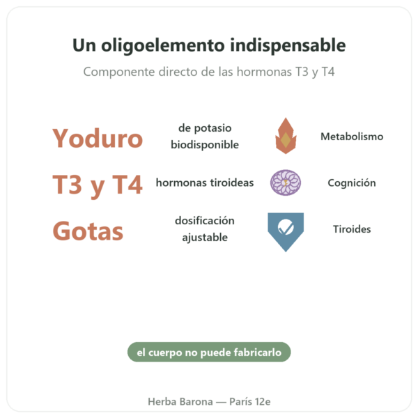 Yodo en Gotas – Dr Jacob's beneficios y datos clave Paris Herba Barona