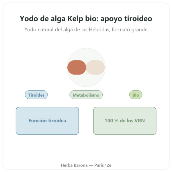 Yodo de alga Kelp BIO – Dynveo – 150 µg – 180 cápsulas presentación Paris Herba Barona