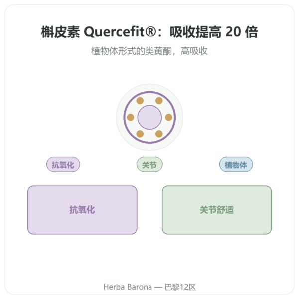 优化槲皮素 Quercefit Dynveo 60 粒胶囊 产品展示 Paris Herba Barona