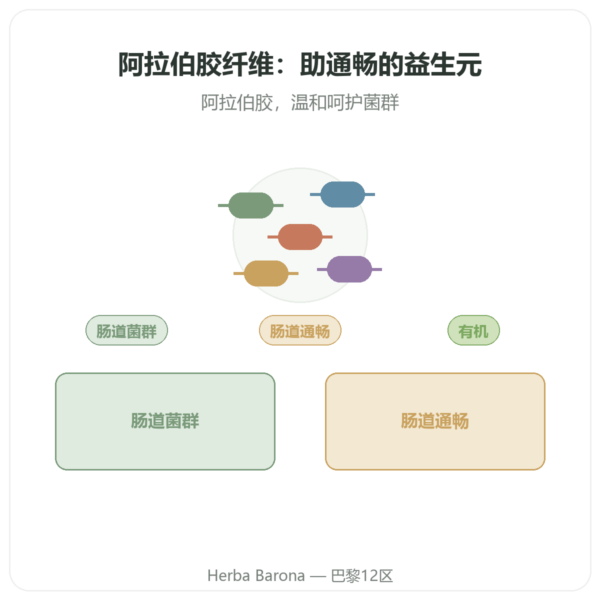 Dynveo 有机金合欢纤维粉 350 g 产品展示 Paris Herba Barona