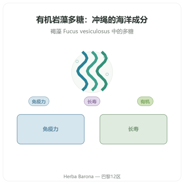 有机岩藻多糖 Dynveo 250 mg 60 粒胶囊 产品展示 Paris Herba Barona