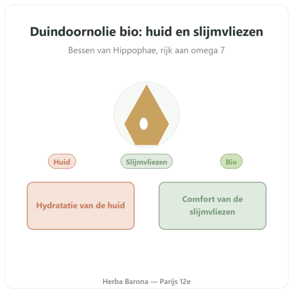 Zeeduindoornolie Bio – 100ml – Biokhaan presentatie Paris Herba Barona