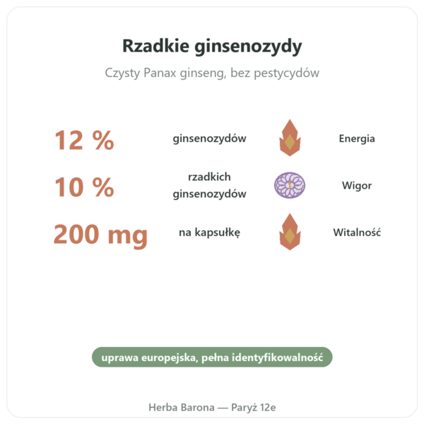 Żeń-szeń Czerwony Premium – Dynveo – 200mg – 60 Kaps. korzyści i najważniejsze fakty Paris Herba Barona