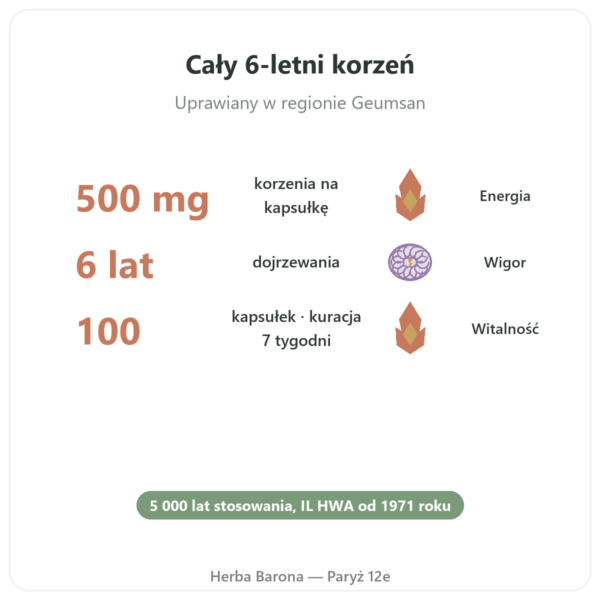 Żeń-szeń koreański 100 kapsułek 500mg IL HWA Korea - Adaptogen korzyści i najważniejsze fakty Paris Herba Barona