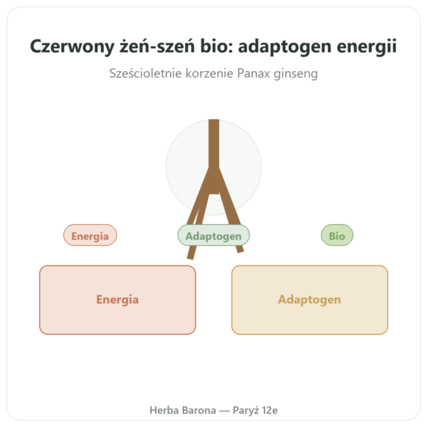 Czerwony żeń-szeń bio – Dynveo – 20% ginsenozydów – 200 mg – 60 kaps. prezentacja Paris Herba Barona