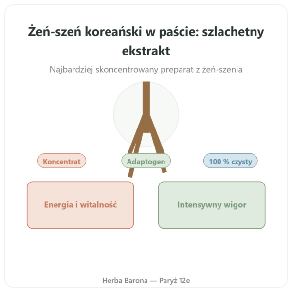 Żeń-szeń koreański w paście, czysty ekstrakt Il HWA – słoik 30 g prezentacja Paris Herba Barona