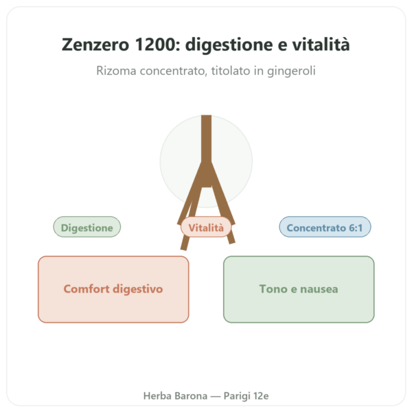 Zenzero 1200 – Be-Life – 90 capsule presentazione Paris Herba Barona