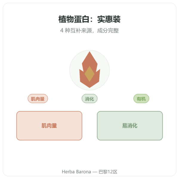 有机植物蛋白 – Dynveo – 1 kg 产品展示 Paris Herba Barona