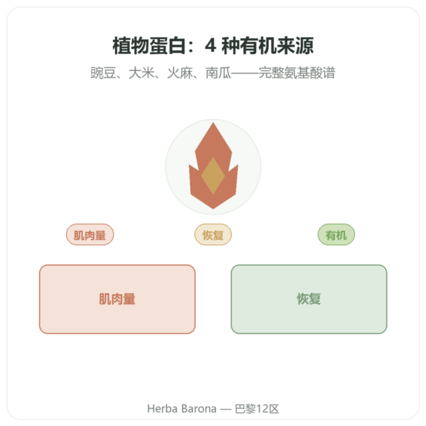 有机植物蛋白 – Dynveo – 500 g 产品展示 Paris Herba Barona