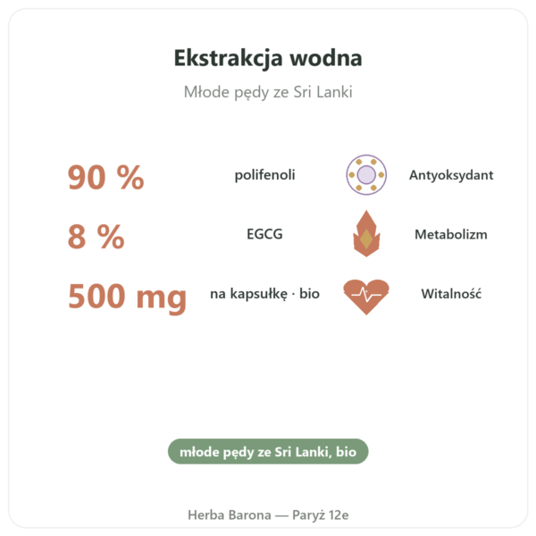 Zielona Herbata bio – 60 kapsułek 500 mg 90% polifenoli – Dynveo korzyści i najważniejsze fakty Paris Herba Barona