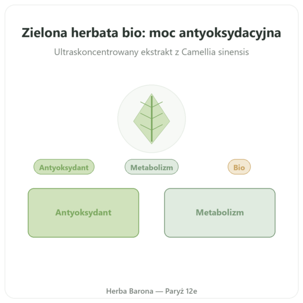 Zielona Herbata bio – 60 kapsułek 500 mg 90% polifenoli – Dynveo prezentacja Paris Herba Barona