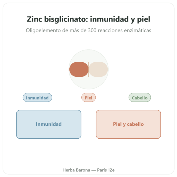 Zinc bisglicinato Dynveo – 10 mg – 60 cápsulas presentación Paris Herba Barona
