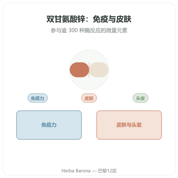 双甘氨酸锌 Dynveo - 10 mg – 60 粒 产品展示 Paris Herba Barona