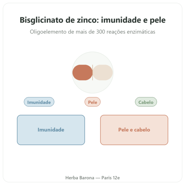 Zinco bisglicinato Dynveo - 10 Mg – 60 Cápsulas apresentação Paris Herba Barona