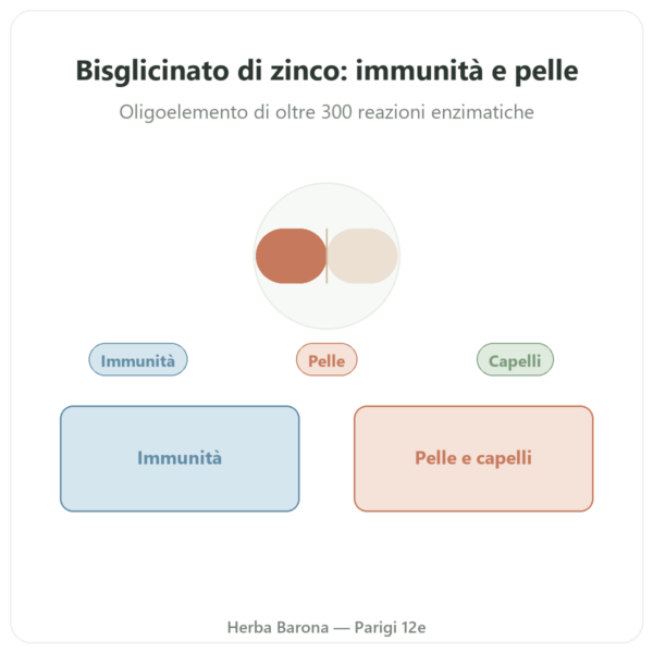 Zinco bisglicinato Dynveo – 10 mg – 60 capsule presentazione Paris Herba Barona