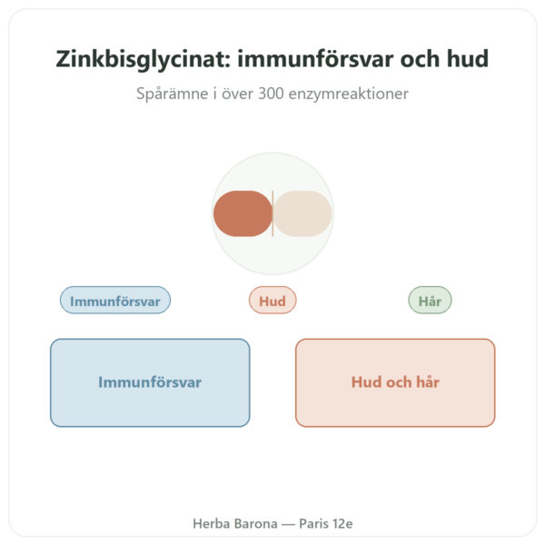 Zinkbisglycinat Dynveo – 10 mg – 60 Kapslar presentation Paris Herba Barona