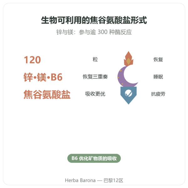 Nutrimuscle ZMB 吡咯烷酮盐 120粒胶囊 功效与数据 Paris Herba Barona