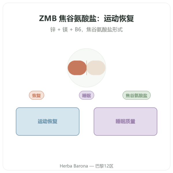 Nutrimuscle ZMB 吡咯烷酮盐 120粒胶囊 产品展示 Paris Herba Barona