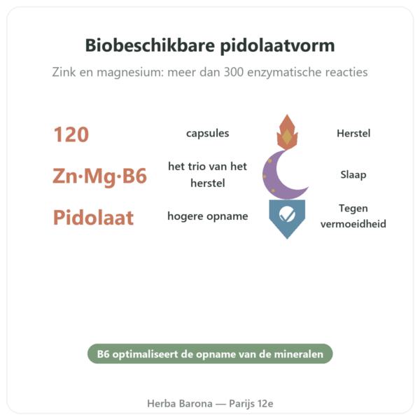 ZMB Pidolaat - Nutrimuscle - 120 capsules voordelen en kerngegevens Paris Herba Barona