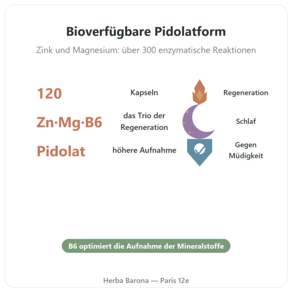 ZMB Pidolat – Nutrimuscle – 120 Kapseln Vorteile und Fakten Paris Herba Barona