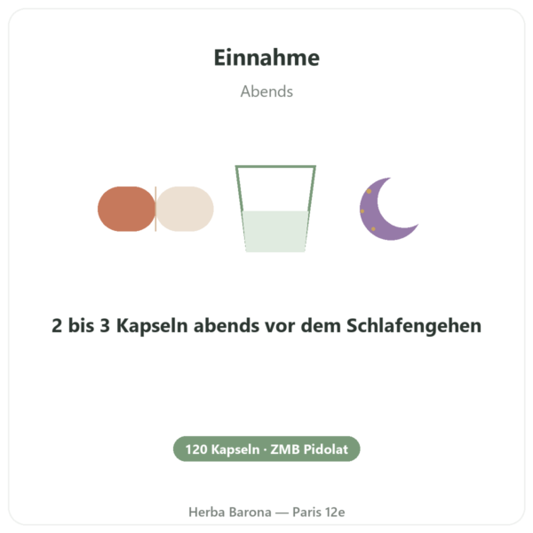 ZMB Pidolat – Nutrimuscle – 120 Kapseln Anwendung und Dosierung Paris Herba Barona
