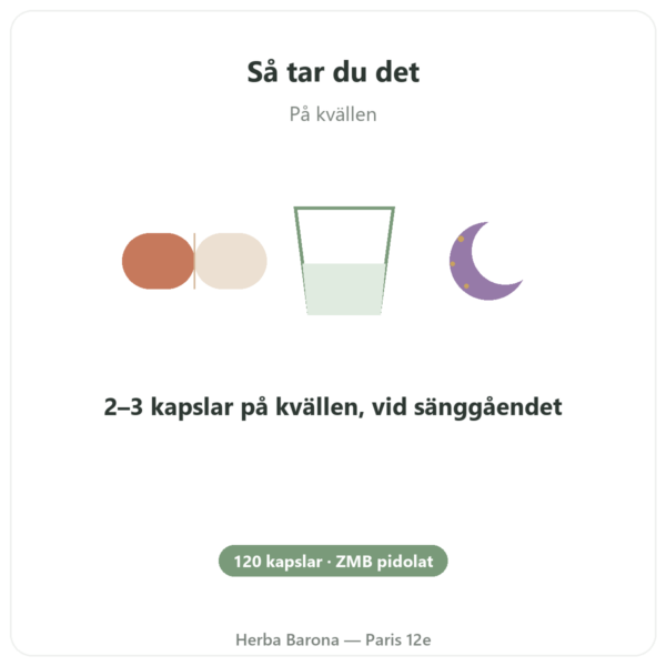 ZMB Pidolat – Nutrimuscle 120 kapslar användning och dosering Paris Herba Barona