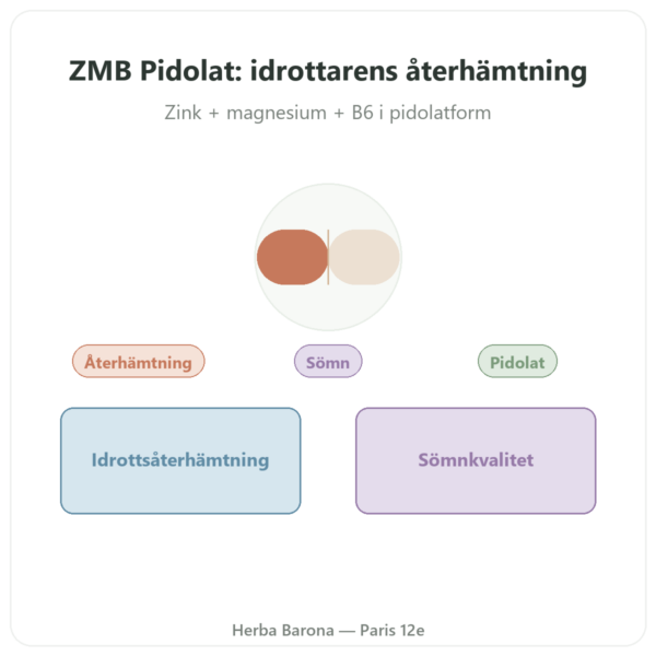 ZMB Pidolat – Nutrimuscle 120 kapslar presentation Paris Herba Barona