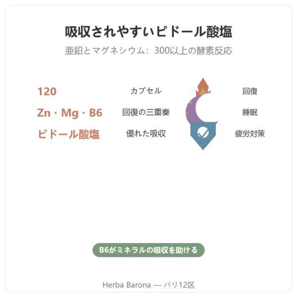 ZMB ピドレート – Nutrimuscle 120カプセル benefits and key facts Paris Herba Barona